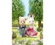 Calico Critters slaví 40. narozeniny