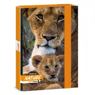 Ars Una: Máté Bence Spirit of Nature – Box na sešity s motivem lva A/5