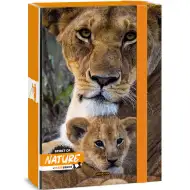 Ars Una: Spirit of Nature Lev A/4 box na sešity