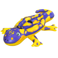 Bestway: Salamandra dvoumístná jezdecká nafukovací matrace s madlem 191 x 119 cm