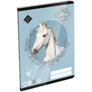 IČO: LizzySuli Wild Beauty Sport Club linkovaný sešit pro 3. třídu A5 12-32