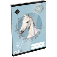 ICO: LizzySuli Wild Beauty Sport Club linkovaný sešit pro 4. třídu A5 21-32