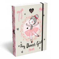 ICO: Lizzysuli Tiny Dancer Lovely Ballerina vzorovaný box na sešity A5