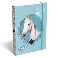 ICO: Lizzysuli Wild Beauty Sport Club box na sešity s motivem A5