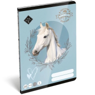 ICO: Lizzysuli Wild Beauty Sport Club linkovaný sešit pro 1. třídu