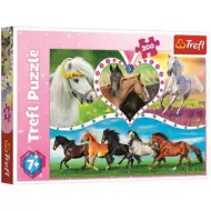 Krásné koně puzzle 200 dílků - Trefl