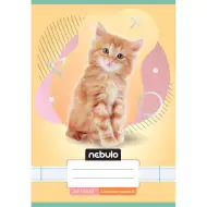 Nebulo: Sešit s linkami pro 3. třídu A5 12-32 Zvířecí - Kočičí