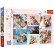 Puzzle s motivem koček, 100 dílků - Trefl