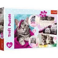 Roztomilé kočičí puzzle 160 ks - Trefl