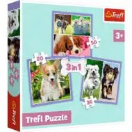 Roztomilí štěňata 3 v 1, puzzle 50-36-20 ks - Trefl
