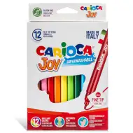 Sada omyvatelných fixů 12ks - Carioca