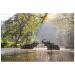 Animal Planet: Sloni u jezera puzzle 1000 dílků