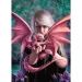 Anne Stokes: Dragonkin puzzle 1000 dílků - Clementoni