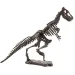 Archeologická sada s dinosaury, různé druhy, 1 ks