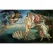 Botticelli: Narození Venuše, Muzeum HQC puzzle 2000 dílků - Clementoni