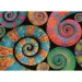 Colorboom: Puzzle chameleoni 500 dílků - Clementoni
