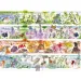 Čtyři roční období premium plus 1000dílné puzzle - Trefl