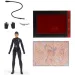 DC Comics: Figurka Batman Selina Kyle s doplňky 10cm - Spin Master