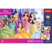 Disney Princezny 100dílné UFT puzzle s plakátem - Trefl
