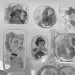 Disney: Sada 13 holografických 3D samolepek s Disney princeznami