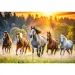 Divocí koně 1500dílné puzzle - Trefl