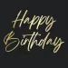 Elegantní narozeninový ubrousek s nápisem "Happy Birthday" – 2vrstvý, 33x33 cm, 20 ks