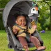 Fisher Price: Milý létající tukan plyšová hračka - Mattel