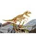 JSEM Génius: Sada archeologických nástrojů pro dinosaura Tyrannosaurus Rex