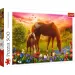 Koně na louce 500dílné puzzle - Trefl