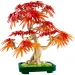 LEGO® Botanicals: Japonský javor s červenými listy bonsaj (10348)