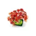 LEGO® Botanicals: Japonský javor s červenými listy bonsaj (10348)