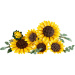 LEGO® Botanicals: Kytice slunečnic (11502)