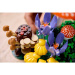 LEGO® Botanicals: Lesní houby (11505)