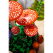 LEGO® Botanicals: Lesní houby (11505)
