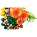 LEGO® Botanicals: Lesní houby (11505)