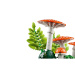 LEGO® Botanicals: Lesní houby (11505)