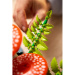 LEGO® Botanicals: Lesní houby (11505)