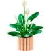 LEGO® Botanicals: Toulitka (11504)