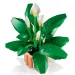 LEGO® Botanicals: Toulitka (11504)