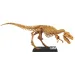 Luna: Obří archeologická sada T-Rex 40 cm