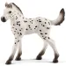 Schleich: Hříbě Knabstrupper (13890)
