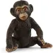 Schleich: Mládě šimpanze figurka (14884)