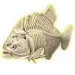 Science &amp; Play: Fluoreskující archeologická sada Piranha - Clementoni