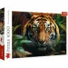 Tygr v divočině 1000 dílků HQ puzzle - Trefl