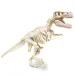 Věda a hra: Fluoreskující archeologická sada T-Rex - Clementoni