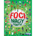 Velká kniha fotbalu