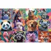 Vtipné zvířecí portréty 300dílné puzzle - Trefl